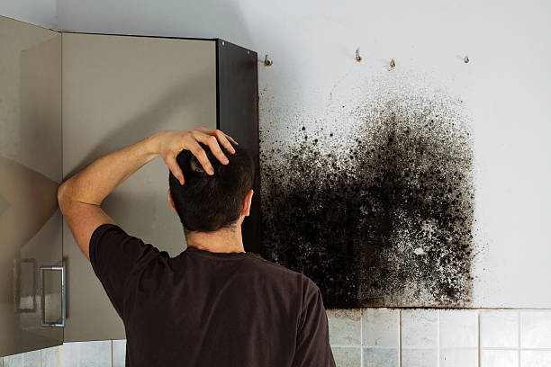 Best Crawl Space Mold Remediation in Bethel, NC